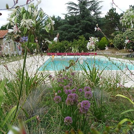Villa Entiere Du Chateau Lacroix De Civrac 3 Ch, 3 Sdb, Piscine Xxl,Sauna, 4 Etoiles,7 Pers Bagian luar foto
